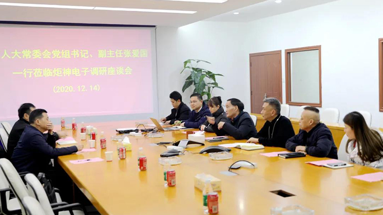 郴州市人大常委會黨組書記、副主任張愛國到炬神電子調(diào)研安全生產(chǎn)工作